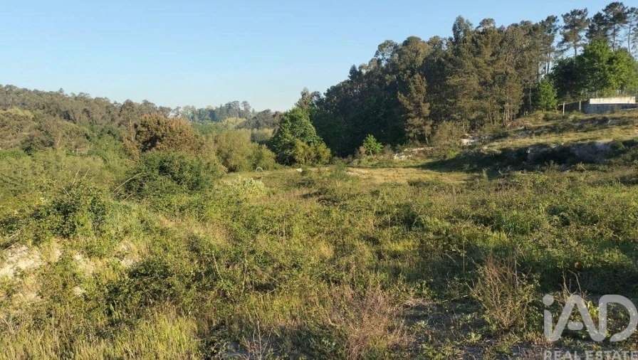 Terreno para Venda em Fonte Arcada e Oliveira Foto 31