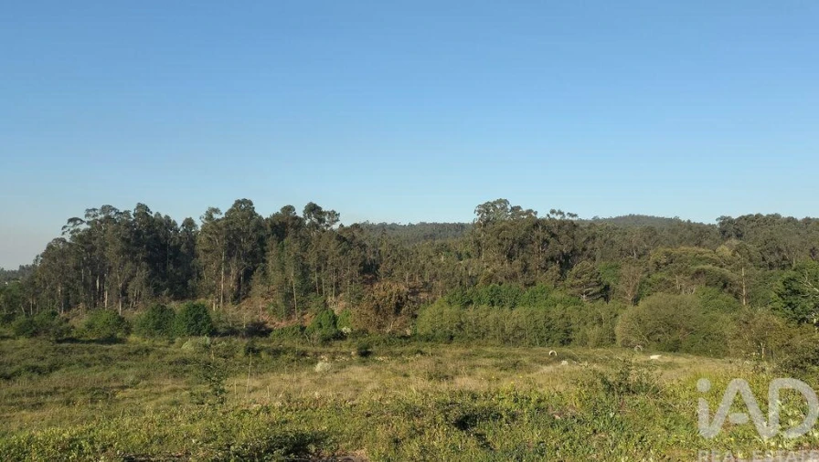 Terreno para Venda em Fonte Arcada e Oliveira Foto 11