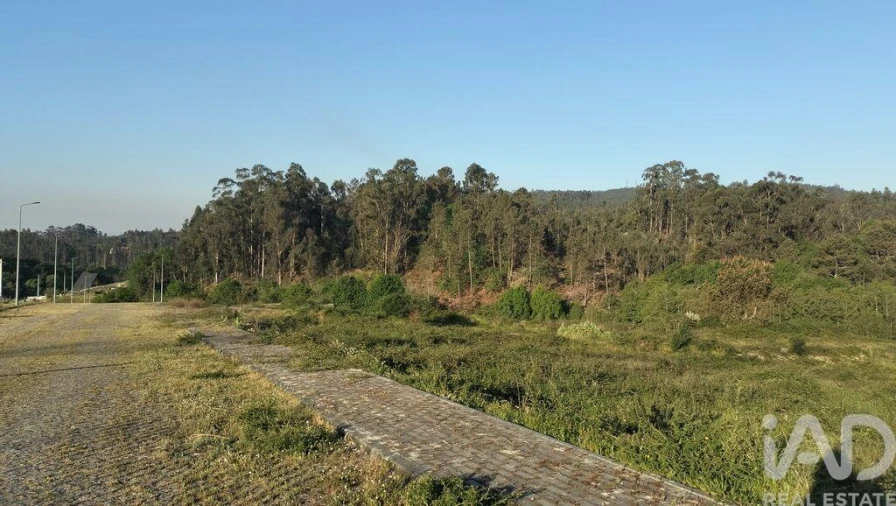 Terreno para Venda em Fonte Arcada e Oliveira Foto 29