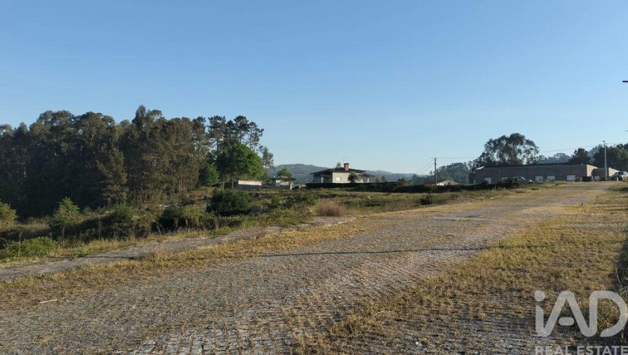 Terreno para Venda em Fonte Arcada e Oliveira Foto 23