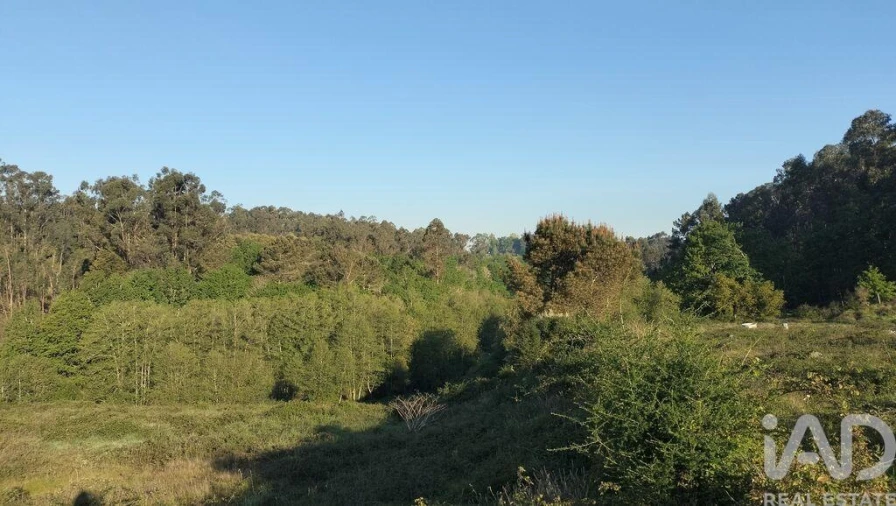Terreno para Venda em Fonte Arcada e Oliveira Foto 33