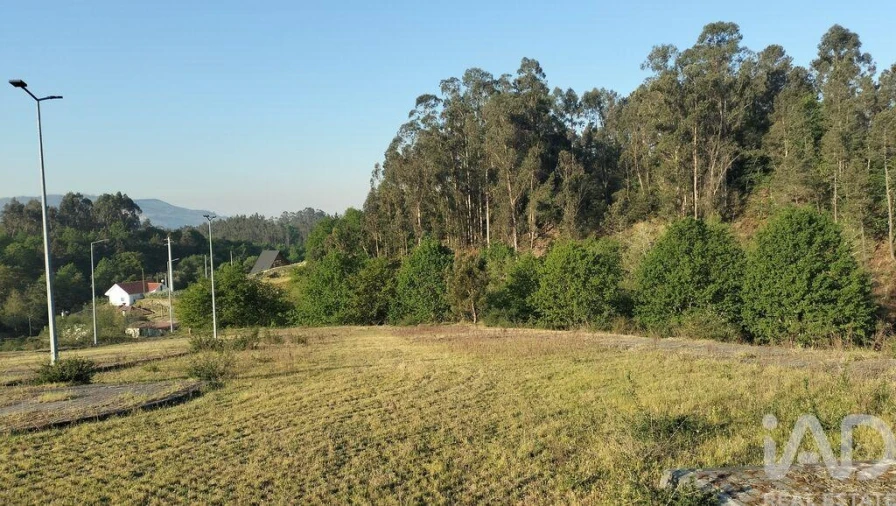 Terreno para Venda em Fonte Arcada e Oliveira Foto 35