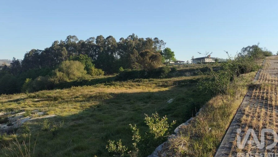 Terreno para Venda em Fonte Arcada e Oliveira Foto 40