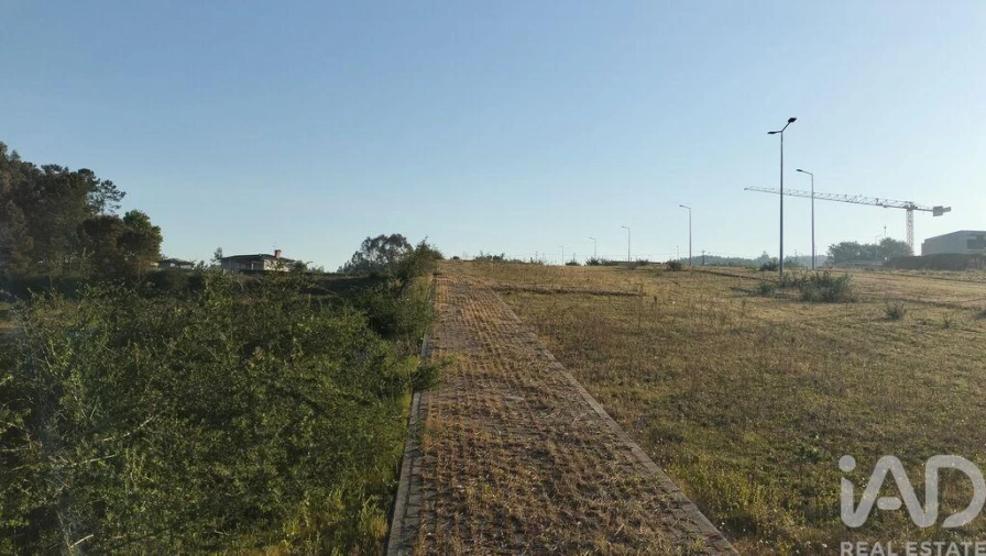 Terreno para Venda em Fonte Arcada e Oliveira Foto 9