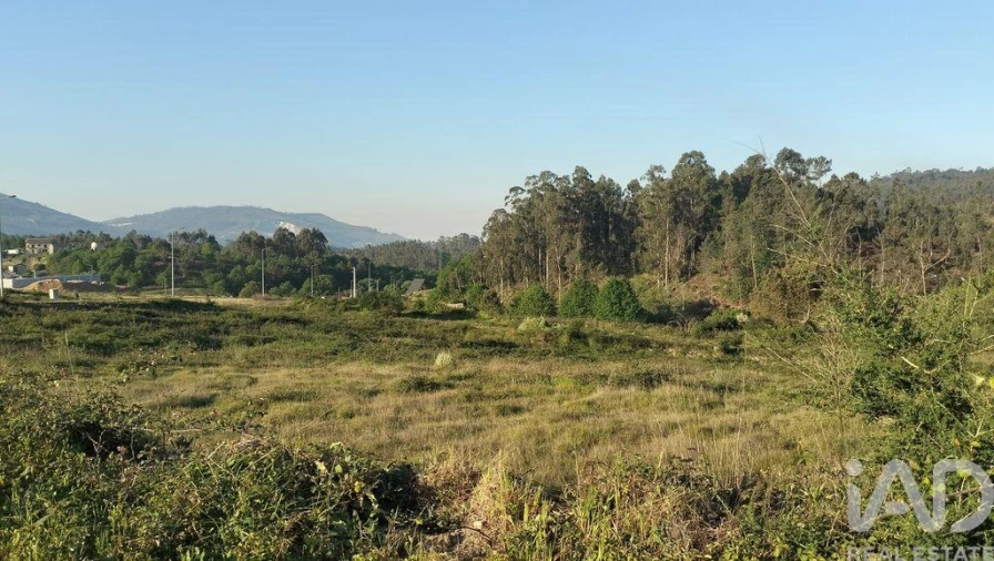 Terreno para Venda em Fonte Arcada e Oliveira Foto 15