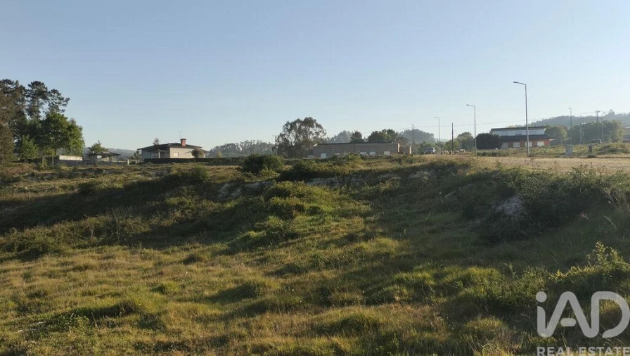 Terreno para Venda em Fonte Arcada e Oliveira Foto 6