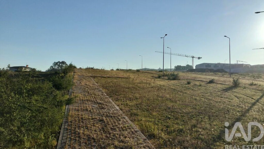 Terreno para Venda em Fonte Arcada e Oliveira Foto 27
