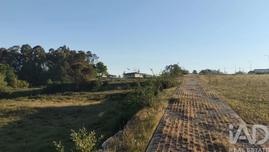 Terreno para Venda em Fonte Arcada e Oliveira Foto 8