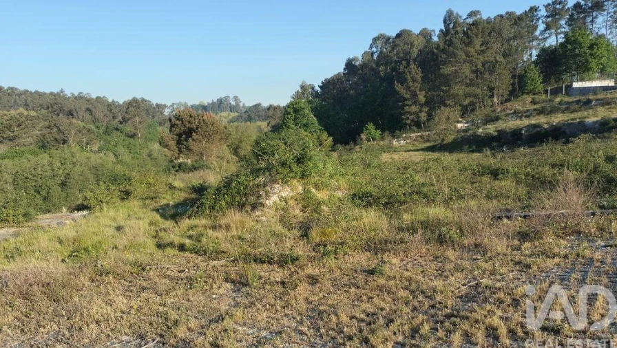 Terreno para Venda em Fonte Arcada e Oliveira Foto 22