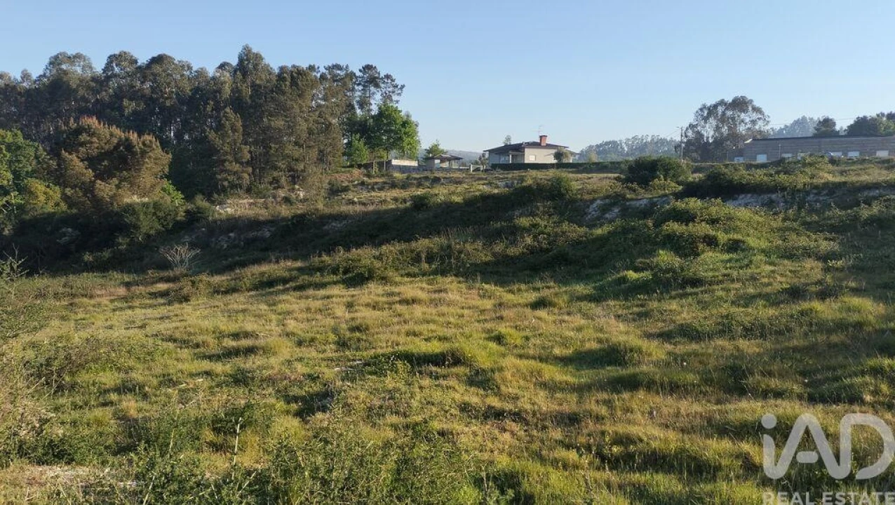 Terreno para Venda em Fonte Arcada e Oliveira Foto 34
