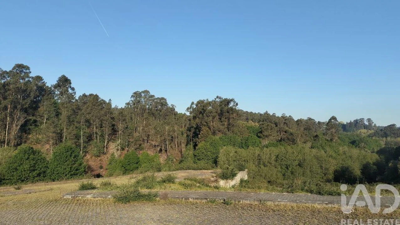 Terreno para Venda em Fonte Arcada e Oliveira Foto 36