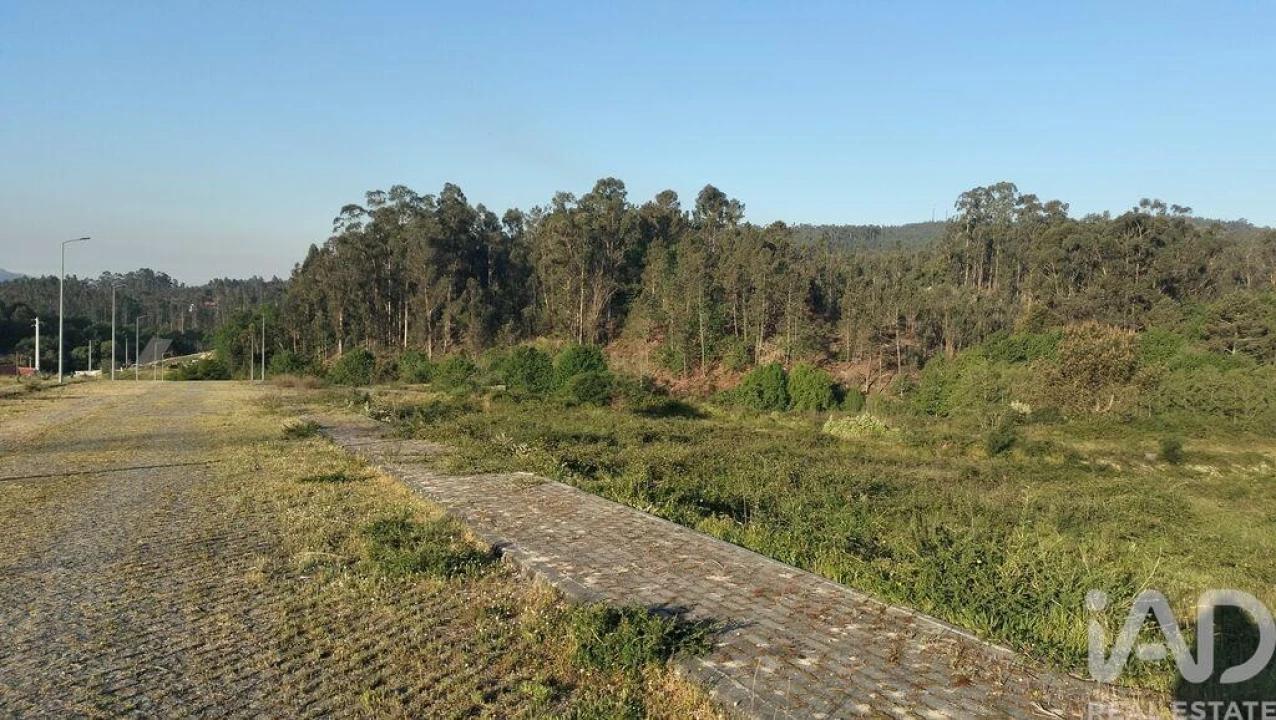 Terreno para Venda em Fonte Arcada e Oliveira Foto 3