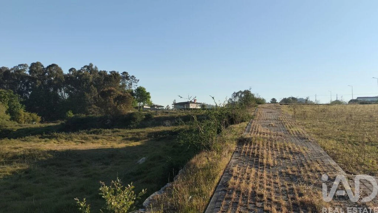 Terreno para Venda em Fonte Arcada e Oliveira Foto 8