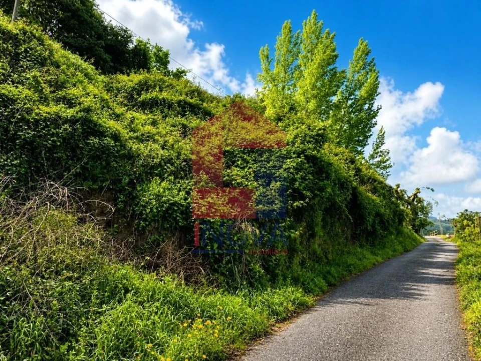 Terreno para Venda em Pico de Regalados, Gondiães e Mós Foto 1