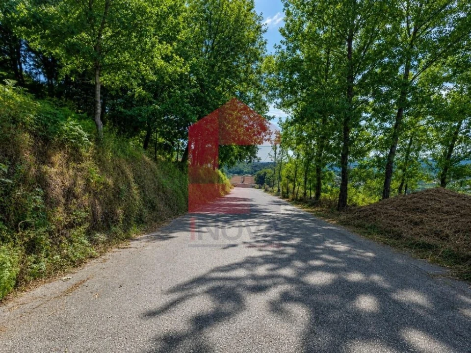 Terreno para Venda em Pico de Regalados, Gondiães e Mós Foto 31