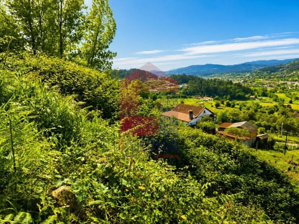 Terreno para Venda em Pico de Regalados, Gondiães e Mós Foto 7
