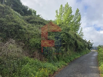 Terreno para Venda em Pico de Regalados, Gondiães e Mós
