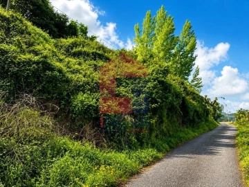 Terreno para Venda em Pico de Regalados, Gondiães e Mós