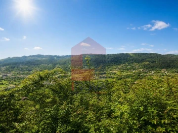 Terreno para Venda em Pico de Regalados, Gondiães e Mós
