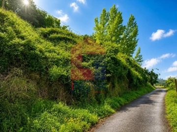 Terreno para Venda em Pico de Regalados, Gondiães e Mós