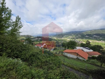 Terreno para Venda em Pico de Regalados, Gondiães e Mós