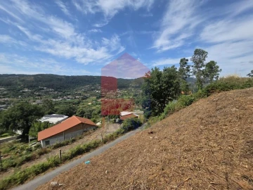 Terreno para Venda em Pico de Regalados, Gondiães e Mós