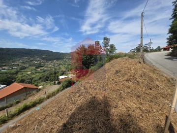 Terreno para Venda em Pico de Regalados, Gondiães e Mós