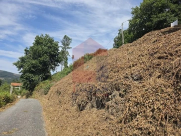 Terreno para Venda em Pico de Regalados, Gondiães e Mós