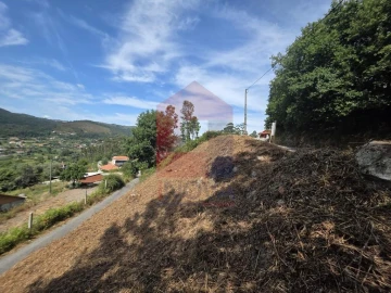 Terreno para Venda em Pico de Regalados, Gondiães e Mós