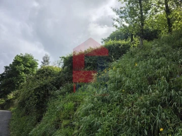 Terreno para Venda em Pico de Regalados, Gondiães e Mós