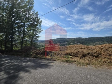 Terreno para Venda em Pico de Regalados, Gondiães e Mós