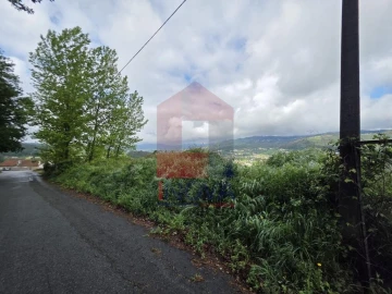Terreno para Venda em Pico de Regalados, Gondiães e Mós