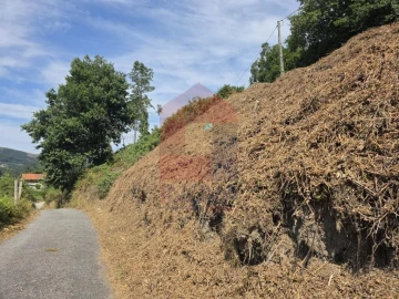 Terreno para Venda em Pico de Regalados, Gondiães e Mós