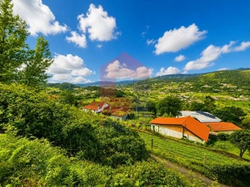 Terreno para Venda em Pico de Regalados, Gondiães e Mós