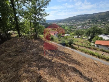 Terreno para Venda em Pico de Regalados, Gondiães e Mós