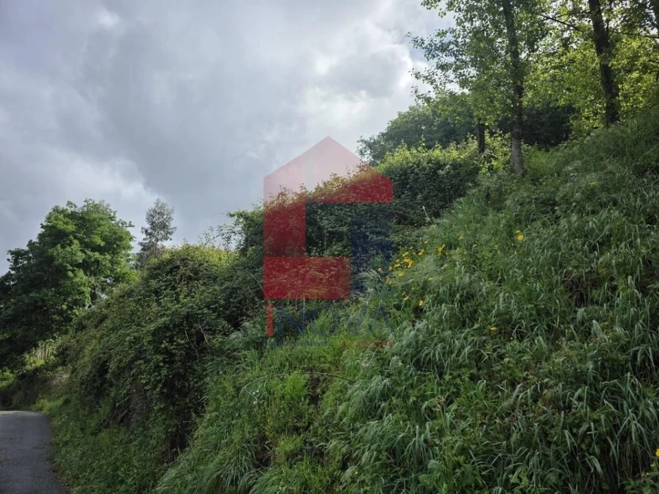 Terreno para Venda em Pico de Regalados, Gondiães e Mós Foto 4