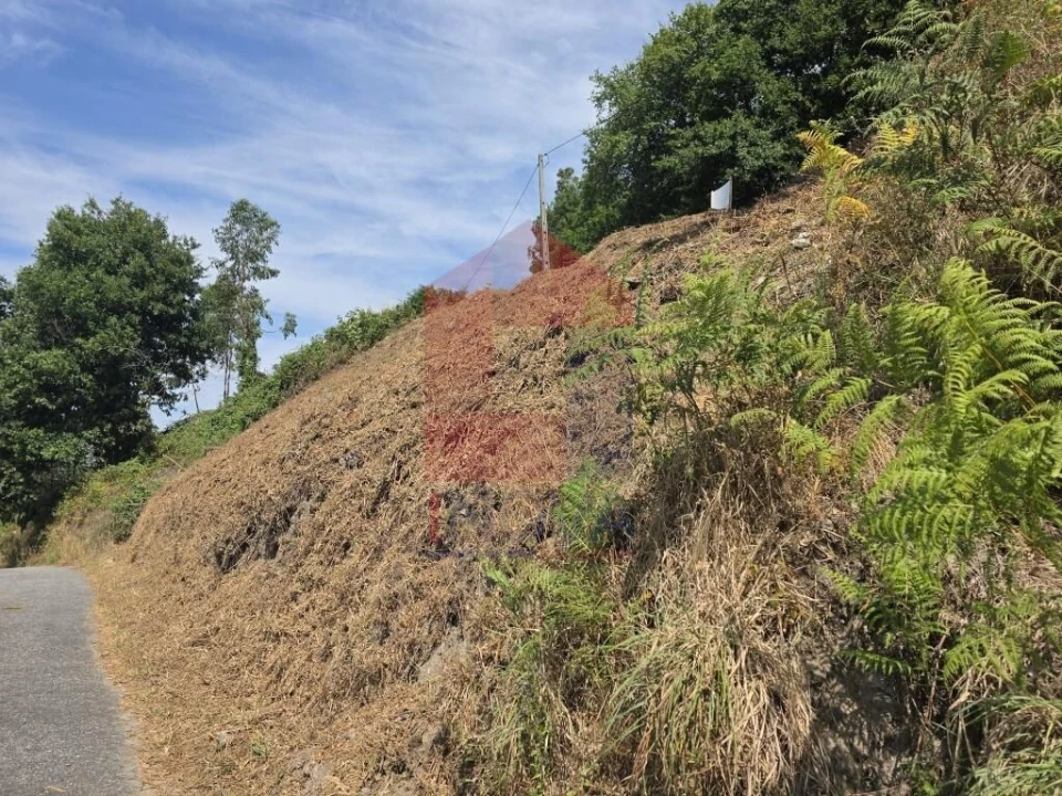 Terreno para Venda em Pico de Regalados, Gondiães e Mós Foto 6