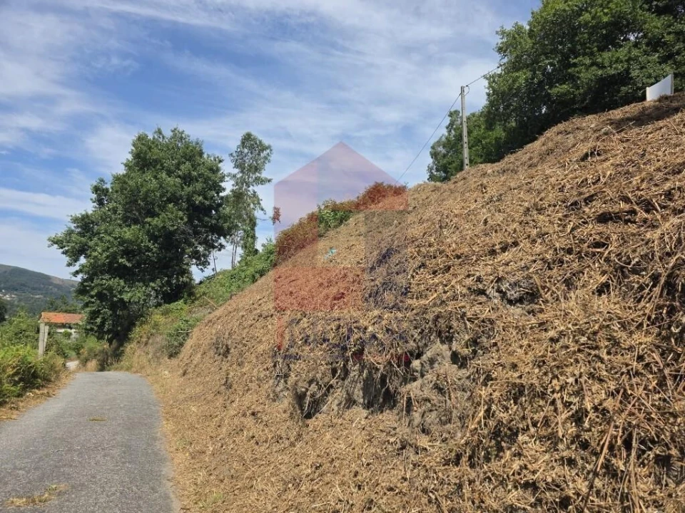 Terreno para Venda em Pico de Regalados, Gondiães e Mós Foto 4
