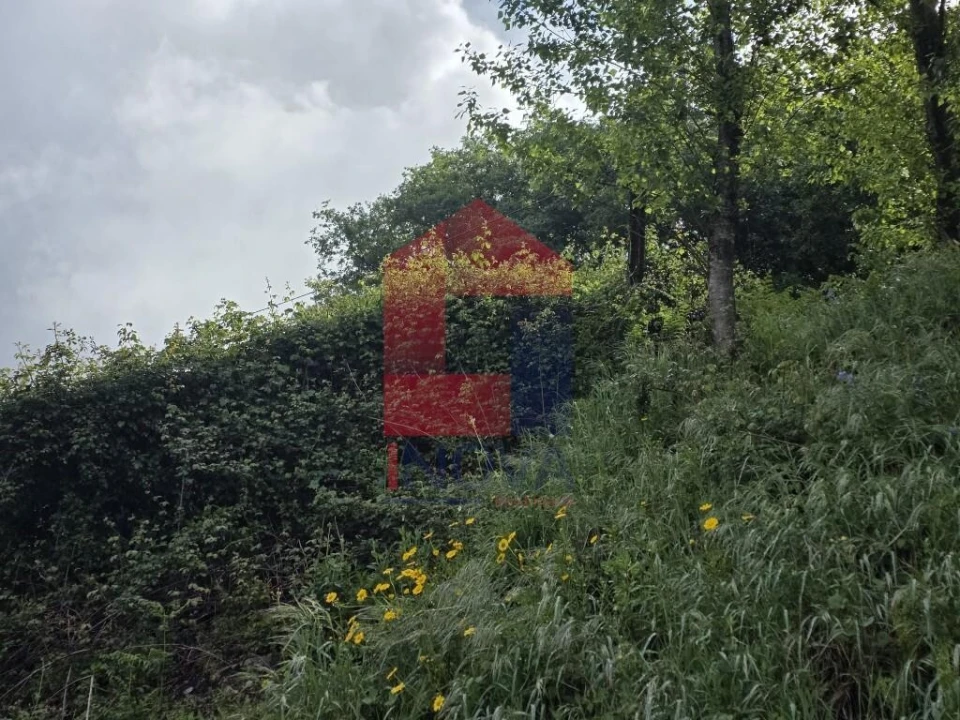 Terreno para Venda em Pico de Regalados, Gondiães e Mós Foto 5