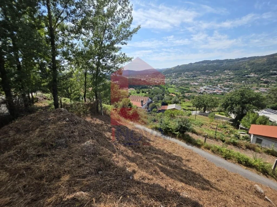 Terreno para Venda em Pico de Regalados, Gondiães e Mós Foto 12