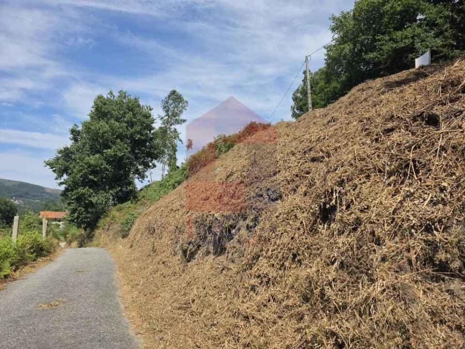 Terreno para Venda em Pico de Regalados, Gondiães e Mós Foto 5