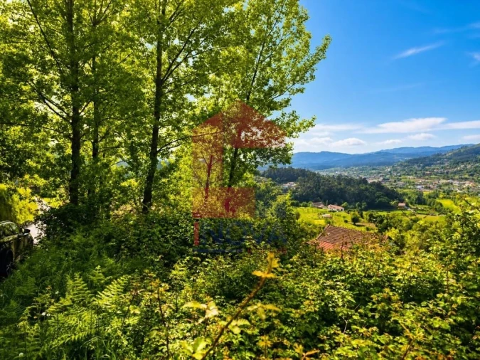 Terreno para Venda em Pico de Regalados, Gondiães e Mós Foto 8