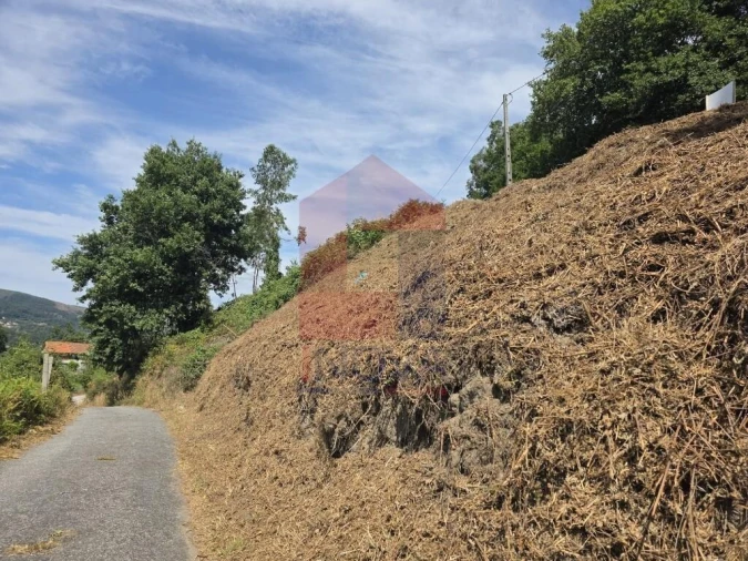 Terreno para Venda em Pico de Regalados, Gondiães e Mós Foto 4