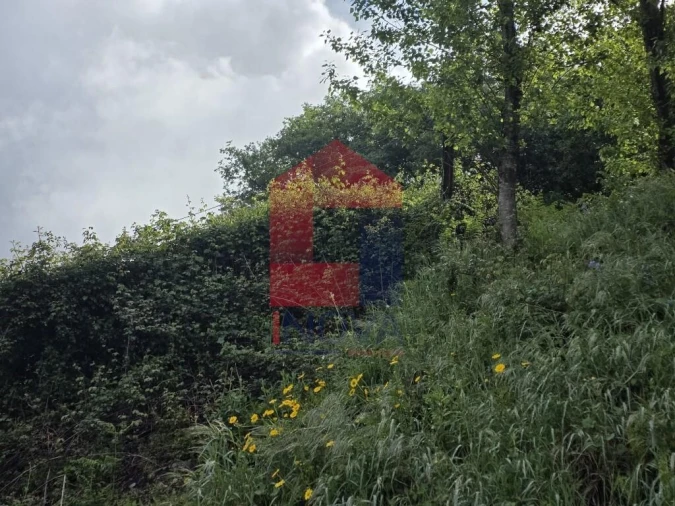 Terreno para Venda em Pico de Regalados, Gondiães e Mós Foto 5