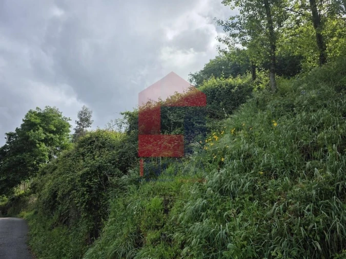Terreno para Venda em Pico de Regalados, Gondiães e Mós Foto 11