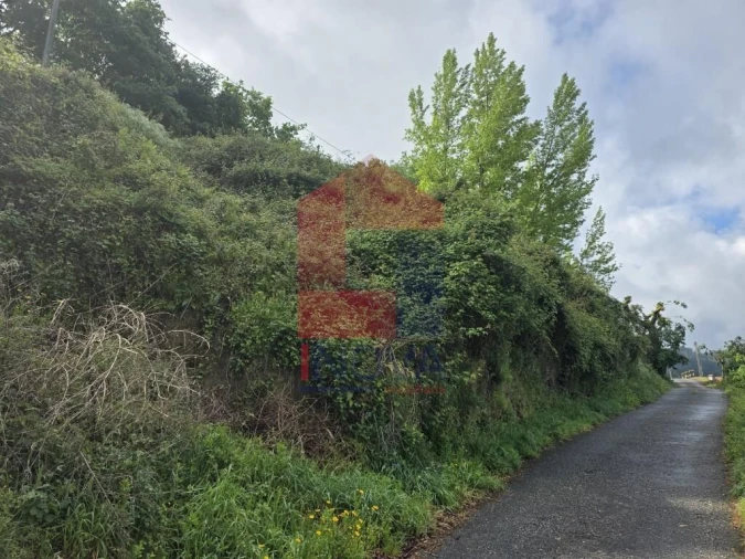 Terreno para Venda em Pico de Regalados, Gondiães e Mós Foto 8