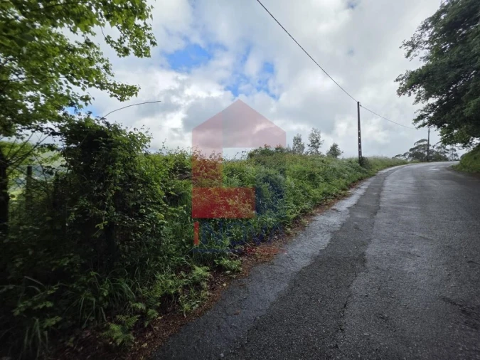 Terreno para Venda em Pico de Regalados, Gondiães e Mós Foto 14