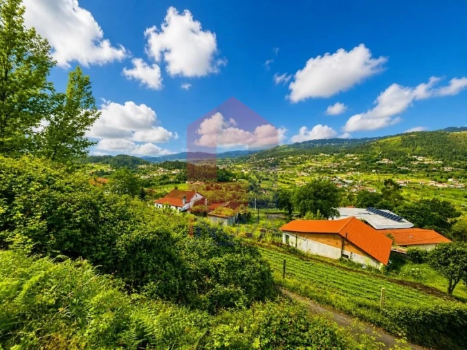 Terreno para Venda em Pico de Regalados, Gondiães e Mós Foto 6