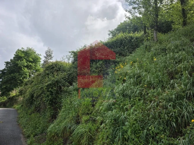 Terreno para Venda em Pico de Regalados, Gondiães e Mós Foto 3