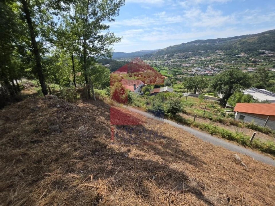 Terreno para Venda em Pico de Regalados, Gondiães e Mós Foto 3